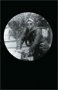 The Motorcycle Diaries : A Latin American Journey:Ernesto 'Che' Guevara