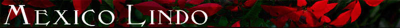 Mexico Lindo banner